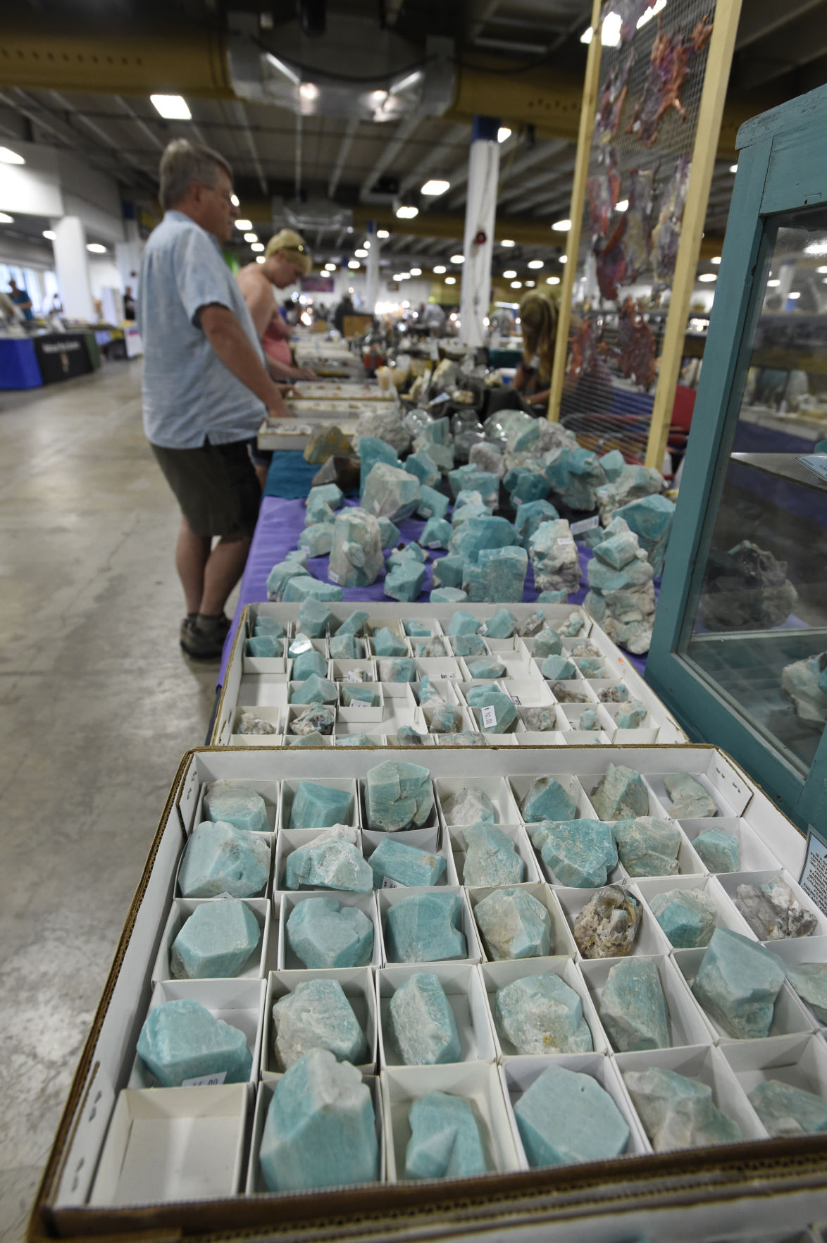 gem show (copy)
